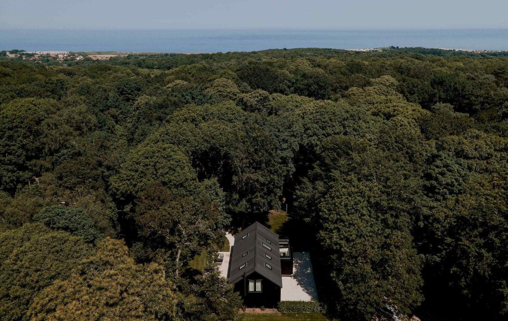 New Client : Blackwood image