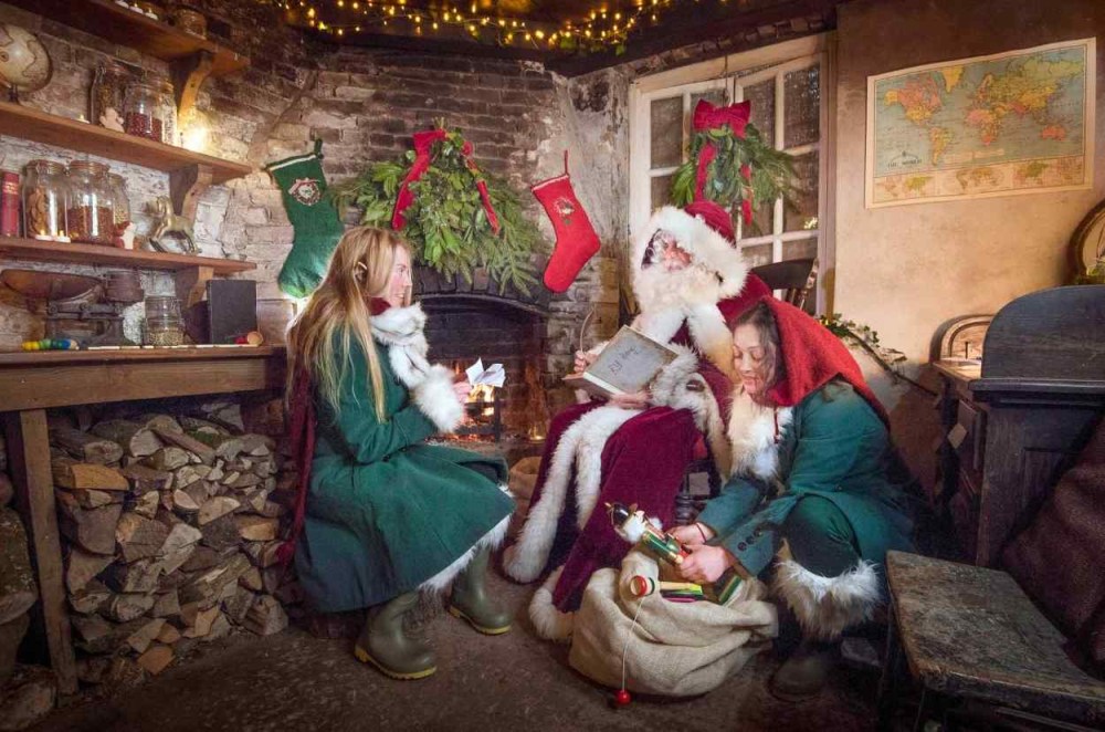 Heligan Night Garden image