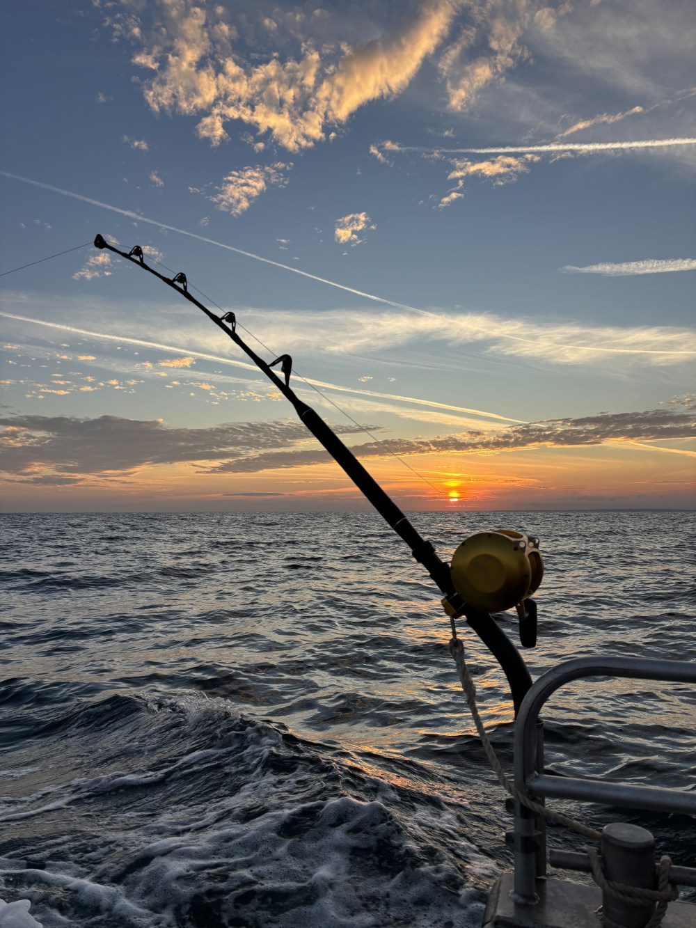 Tuna Night at MOR : Cornish Bluefin Tuna from the sea to the plate for one night only image