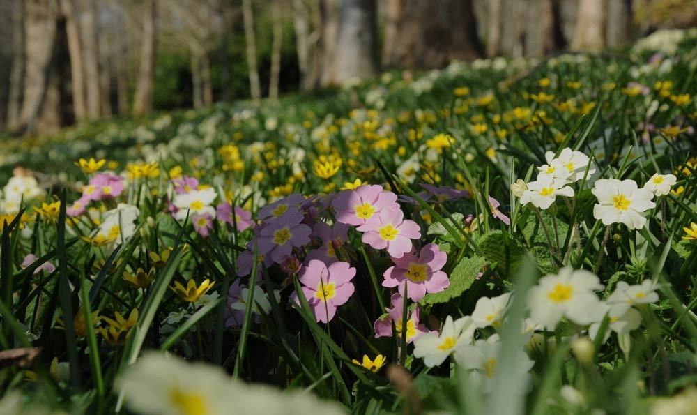 The Great Art Auction image