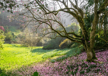 The Great Art Auction image