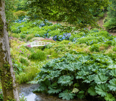 The Great Art Auction image