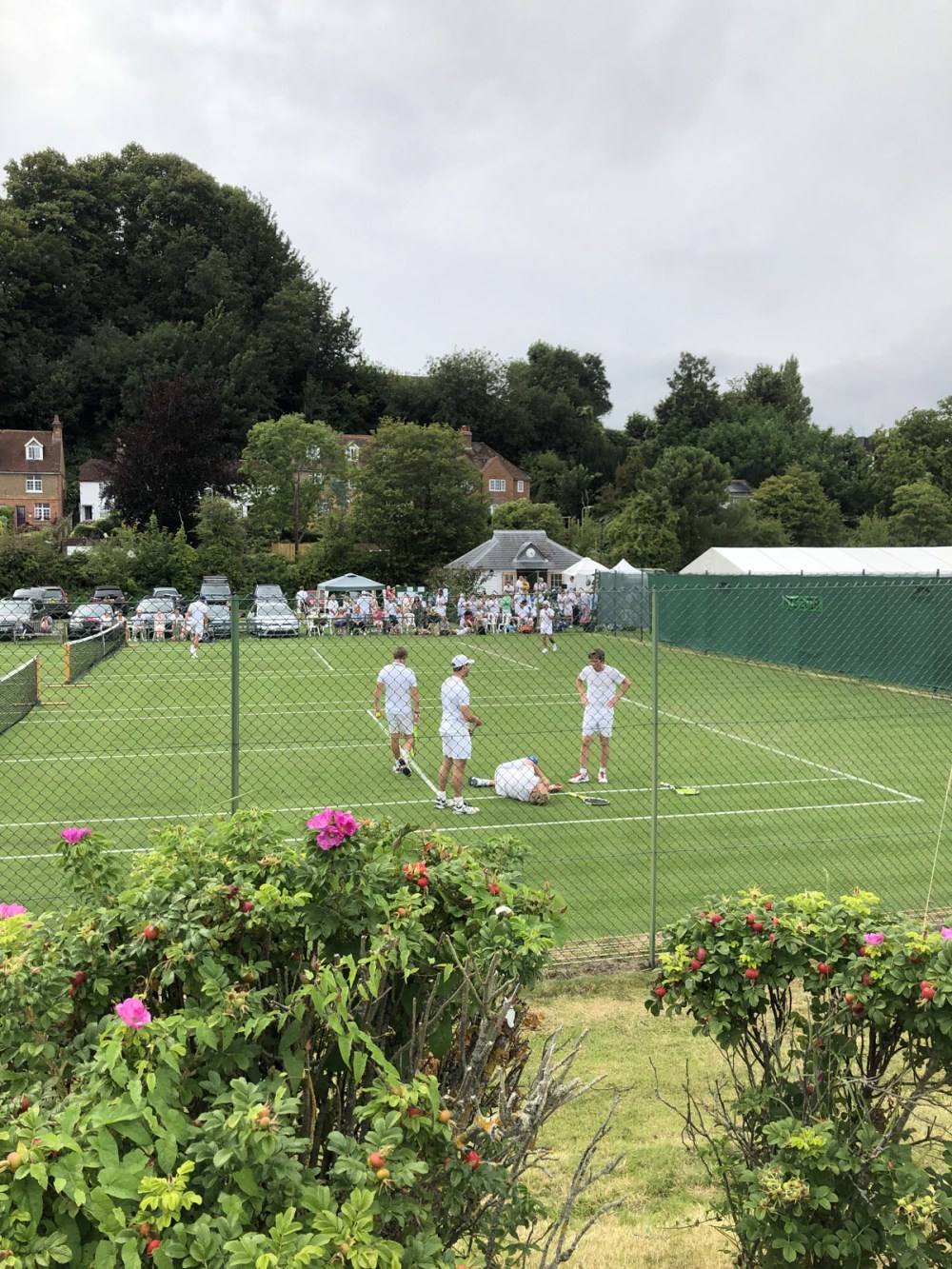 Anyone for tennis? image